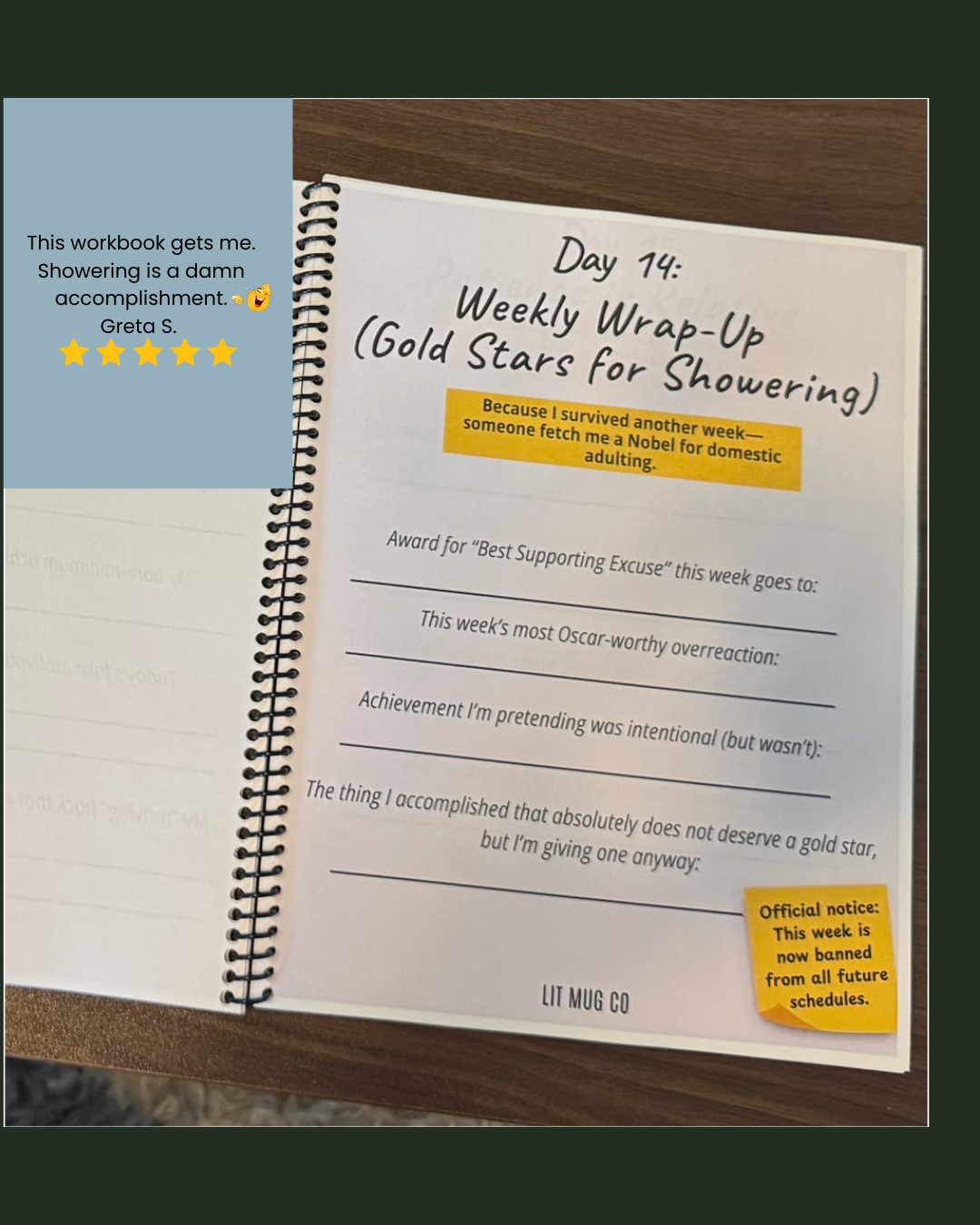 sarcastic therapy workbook